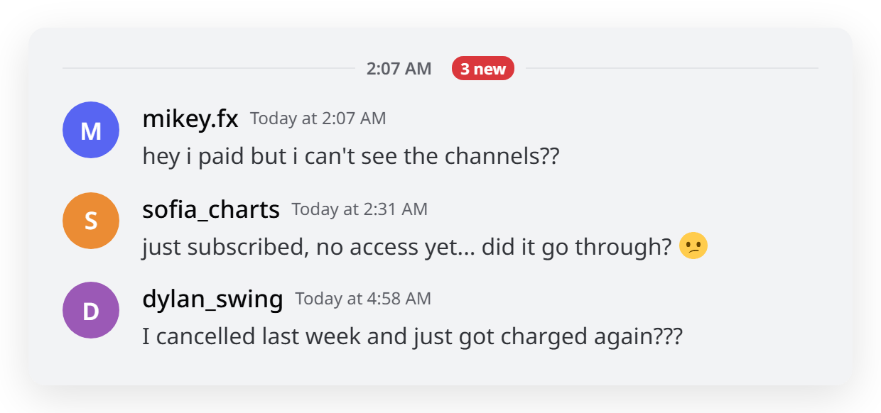 Late-night member DMs to a server owner: I paid but can't see the channels